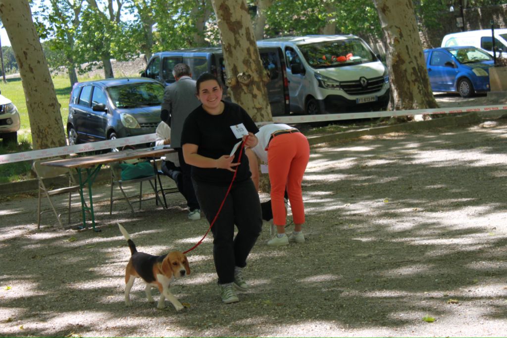 Tavaco Du Domaine Des Pattes Dorées